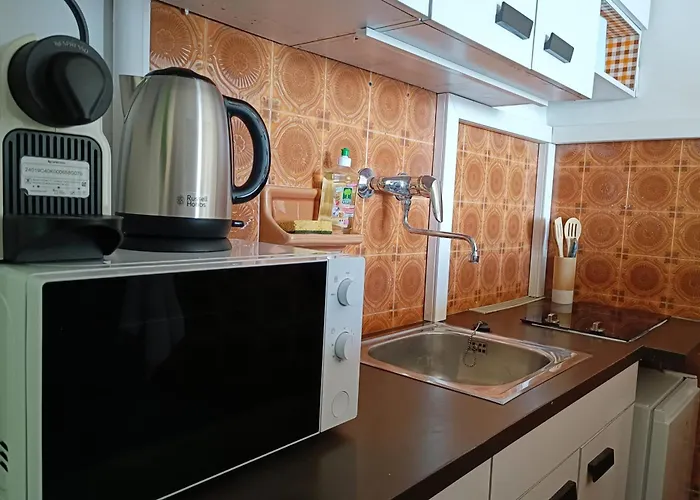 Charming T1 With Terrace And Sea View Appartement *